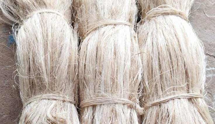 banana-fibers-combed